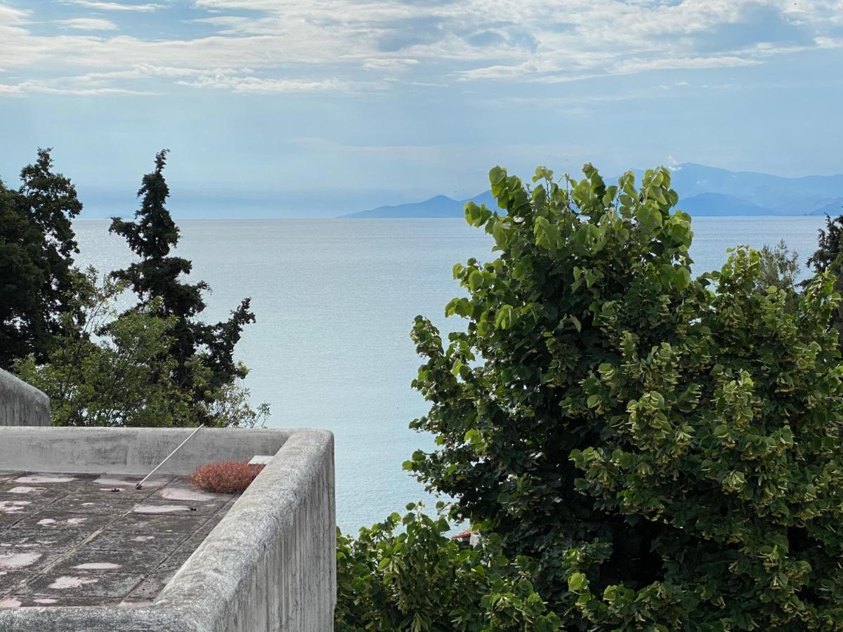 Irini Seaside Apartment PalaiónTsiflíkion 외부 사진
