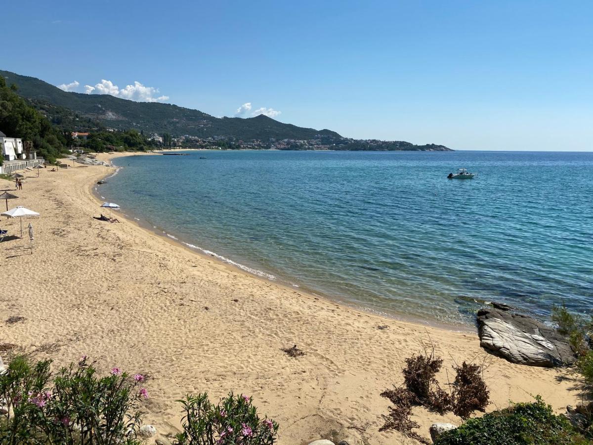 Irini Seaside Apartment PalaiónTsiflíkion 외부 사진