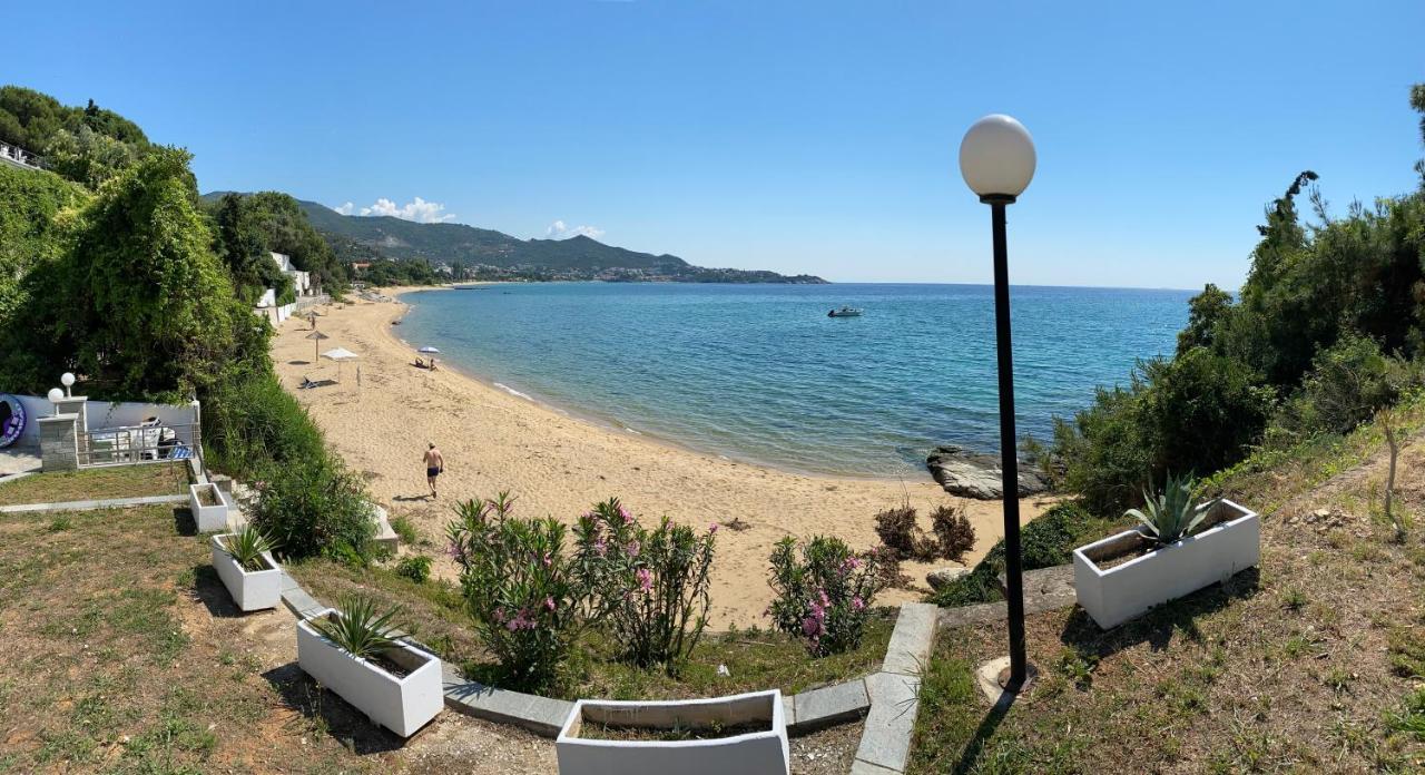Irini Seaside Apartment PalaiónTsiflíkion 외부 사진