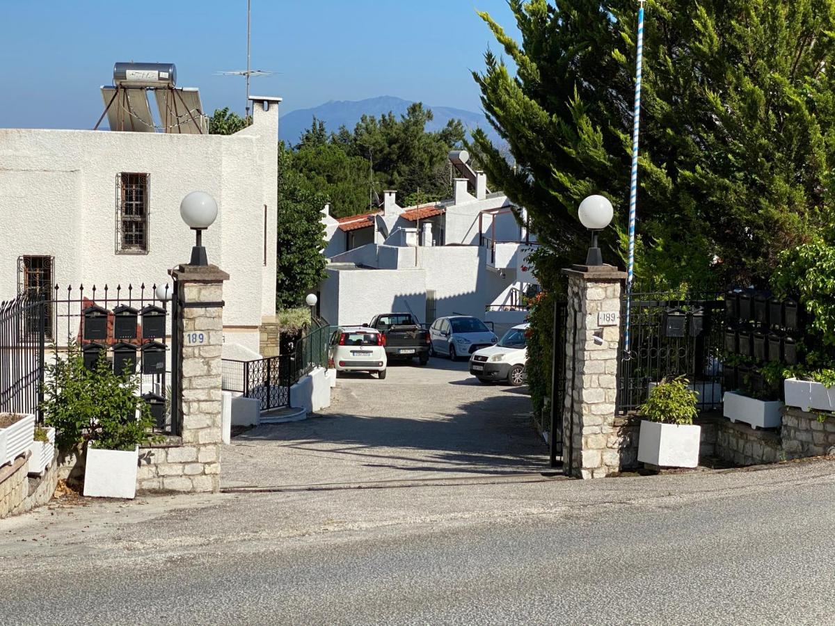 Irini Seaside Apartment PalaiónTsiflíkion 외부 사진